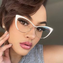 New Arrival Steel Leather Triangle Cat Eye Metal Eyeglass Frame Anti Blue Light Glasses Computer Goggles Myopia Glasses Frame