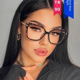 Sunglasses Fashion Leopard Print Eyeglass Frame Trend Square Flat Lens 2024 Women's Anti Blue Light Glasses Computer Goggles