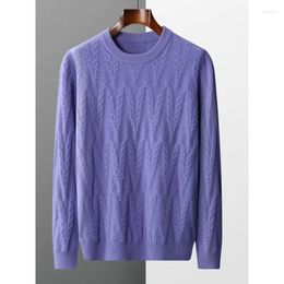 Men's Sweaters Thick Sweater Pure Wool Autumn And Winter Round Neck Jacquard Warm Leisure Bottoming Shirt All-Match Men