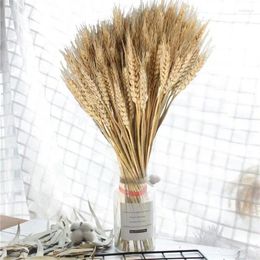 Decorative Flowers 100Pcs Dried Wheat Stalks Natural Grain Dry Grass Bunch DIY Arrangements For Home Wedding Store