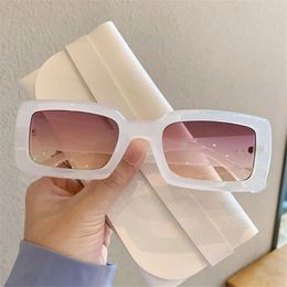 Sunglasses Trendy Eyewear Candy Color Shades Rectangle Female Sun Glasses Small Frame