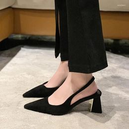 Dress Shoes Ladies 2024 Outdoor Slingbacks Women's High Heels Fashion Pumps Women Slip On Chunky Heel Pointed Toe