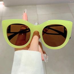 Sunglasses KAMMPT Vintage Cat Eye Trendy Korean Style Candy Color Eyewear 2024 Stylish Oversized UV400 Protection Shades