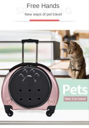 Strollers New Trolley Cat Cat Bag Go Out Portable Space Capsule School Bag Pet Backpack Go Out Door Trolley Case Handcarry