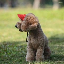 Dog Apparel Baseball Hat Small Dogs Sunscreen Cat Outdoor Sports Cap With Ear Holes Bonnet For Taking Po Pet Supplies