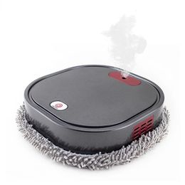 Rechargeable Sweeping And Mop Robot Vacuum Cleaner Home Appliance With Humidifying Spray 240123