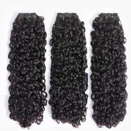 10A Small Spirals Curly Bundles Brazilian Unprocessed Kinky Curly Human Hair Piie Curls Weave Only Virgin Hair 3B 3C 240118