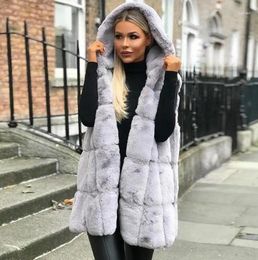 Women's Vests Faux Fur Hooded Vest Explodes In Autumn And Winter European American For Women