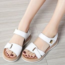 Sandals Women Simple Platform Casual Open Toe Summer Shoes Comfortable Ankle Strap