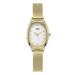 Womens light luxury simple exquisite oval senior sense women waterproof mesh quartz watch montre de luxe gifts A17
