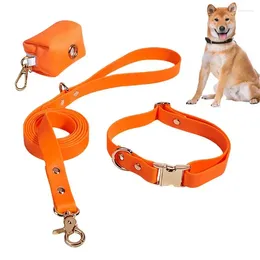 Dog Collars Pet With Leads Portable Lead And Combo For Small Pets Puppies Dogs