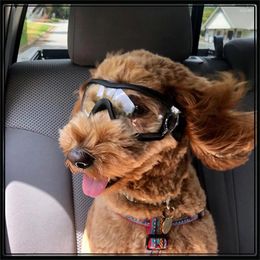 Dog Apparel Adjustable Pet Goggles Sunglasses Anti UV Sun Glasses Eye Wear Protection Waterproof Windproof Supplies