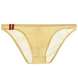 Underpants 1pc Random Colour Men's Sexy See Through Briefs Lingerie Underwear Low Rise U-convex Pouch Man Panties