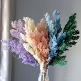 Decorative Flowers Real Dry Pine Leaves Branches Natural Plants Twigs DIY Centrepieces Arrangement Bridal Bouquet Baby Shower Home