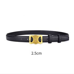 designer belt celinnee Bb Belt women belt men designer belts for men 2.5cm thin belt Fabric Waistband Copper Cintura ceinture luxe Luxury Designer