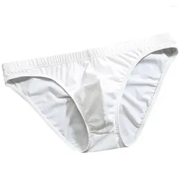 Underpants Men Underwear Briefs Semi-Transparent Breathable Low Waist Bikini Brief Shorts Pouch Male Panties 1pc