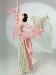 Chinese Classical Dance Dress Flowing Chinese Style Half Skirt Chiffon National Style Stage Performance Costume 240126