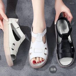 Sandals Women's Open Toe Platform 2024 Summer Rome T-strap Flat Casual For Women Outdoor Plus Size Shoes Ladies Sandales