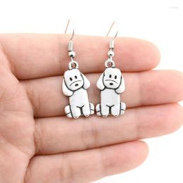 Dangle Earrings Poodle Drop Long For Women Boho Cute Dog Brincos Fashion Jewellery Earring Pendientes Pet Lover Party Gifts