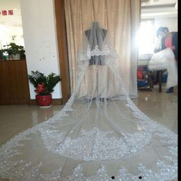 Selling Luxury Real Image Bridal Veils Wedding Veil Three Meters Long Veils Lace Shining Applique Sequin Crystals Two Layers 280T