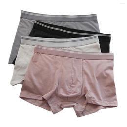 Underpants Quality Cozy Modal Cotton Boxers Men Underwear Adult Plus Size Pure Color Male Spring