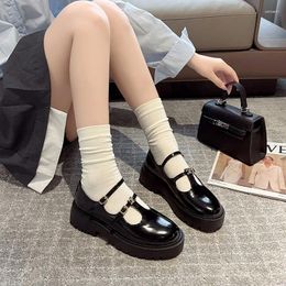 Dress Shoes Mary Jane Single Shoe Women's 2024 Autumn/Summer Black Versatile English Lefu Small Leather High Heels