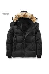 Mens Down Parkas Canadian Gooses Langfords Wyndhams Jackets Mens Womens Designers Coats Veste Homme Winter Jassen Puffer Big Fur Outerwear Manteau Hive