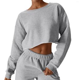 Gym Clothing Warm Long Sleeved Hoodie T-shirt Women's Short Pullover Outdoor Fitness Cover Up Loose Casual Sportswear 8188