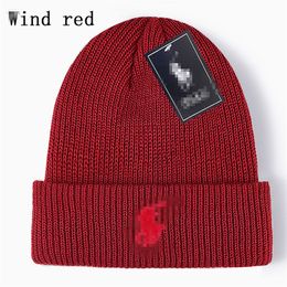 Good Quality New Designer Polo Beanie Unisex Autumn Winter Beanies Knitted Hat for Men and Women Hats Classical Sports Skull Caps Ladies Casual z8