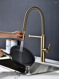 Kitchen Faucets Gold Luxury Top Quality Brass Sink Faucet Pull Down Spring Cold Water And Purified One Hole Tap