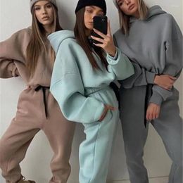 Women's Pants 2 Pcs/Set Winter Tracksuit Solid Colour Loose Pullover Hooded Thick Elastic Waist Ankle-banded Top Sweatpants Set Women