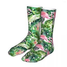 Men's Socks Men Sport Flamingo Tropical Cotton Compression Jungle Woman Sock