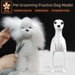 Scales Professional Pet Grooming Fake Dog Model Practise Dog Standard Skeleton Model Dog Pet Simulator Model