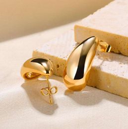 Designer Earrings Stud Earrings Stainless Steel Water Drop Ear Piercing For Women Delicacy Fashion Ears Jewellery Gift Tendency Free Delivery 2024