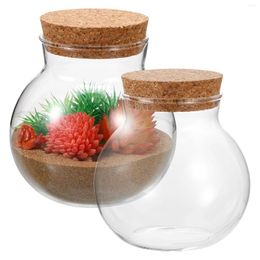 Vases 2 Pcs Jar Micro Landscape Ecological Bottle Indoor Hanging Planter Container Cork Moss Crafts