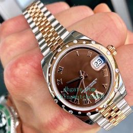 NEW 31mm Midsize 178341 Diamond Bezel Chocolate Steel & Stainless Steel & 18k Rose Gold Automatic movement Man Watch Watc3165