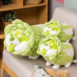 Arrive Vegetable Green Dog Plush Toy Japanese Cabbage Dog Stuffed Animals Soft Doll Shiba Inu Pillow Baby Kids Toys Gift 240118