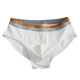 Underpants Men Cotton Briefs Big Pouch U Convex Shorts Underwear Low Waist Bikini Breath Elastic Male Panties Casual Swimwear