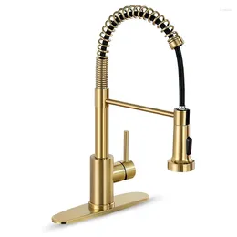 Kitchen Faucets Spring Pull-out Faucet Cold And Universal Dish Basin Sink Household Tap