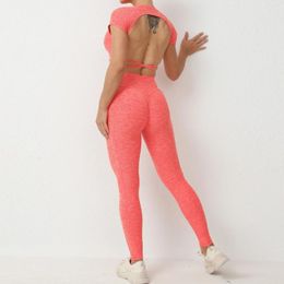 Active Sets Sport Set Women Outfit Padding Sportswear Woman Gym 2024 Workout Womens Sports Top Leggings Kit Yoga Clothing Orange