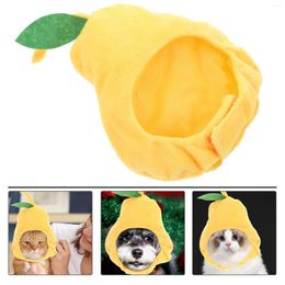 Cat Costumes Curly Hair Pet Hat Dreses Puppy Clothing Halloween Dog Cap Costume Plush Adorable