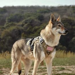 Harnesses Tactical Dog Harness Suit Pet German Shepherd K9 Malinois Training Vest Dog Harness and Leash Set for All Breeds Dogs