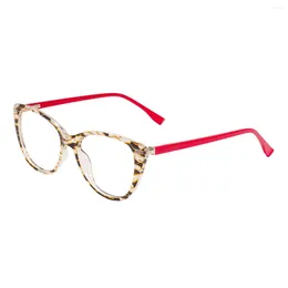 Sunglasses Frames Large Cat Eye Glasses And Acetate Temple With Spring Hinge For Prescription Lenses