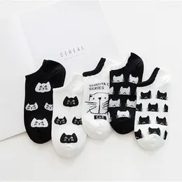 Women Socks 5 Pairs Cute Cartoon Cotton Short Set Girls Kawaii Black White Cat Kitty Kitten Head Low Cut Ankle Calcetines