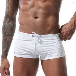 Men's Shorts Men Swim Swimwear Beach Swimming Trunks Underwear Sexy Low Waist Tether Mesh Elastic Briefs Male Underpants