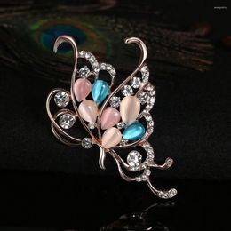 Brooches 2024 Fashion Jewellery Opal Crystal Rhinestone Butterfly Kitten Brooch Charm Ladies Collar Scarf Bow Knot Accessories