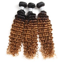 Ombre 1B/27 Brazilian Deep Wave Human Remy Virgin Hair Weaves 100g/bundle Double Wefts 3Bundles/lot