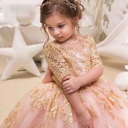 Girl Dresses 2024 Children's Wedding Dress Girl's Mid Sleeve Lace Birthday Performance Host Pengpeng Princess Long