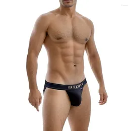 Underpants Mens Sexy Underwear Cotton Low Waist Briefs Comfortable Breathable U Convex Bag Men 2pcs