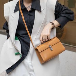 womens tote bag carrying small square designer bag single leather handbag shoulder crossbody bags high-end totes